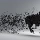 Horse Sculpture Running - VideoHive Item for Sale