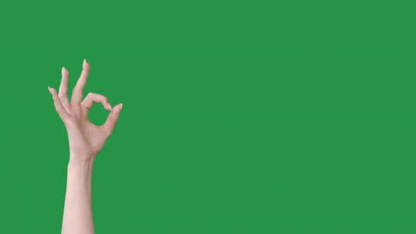 Okay Gesture Perfect Choice Hand Ok Yes Set of 2 alt