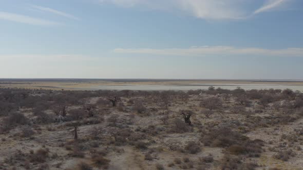 Aerial View Of Desolate Terrain With Baobab Trees On Kubu Island, Botswana. Drone Shot alt