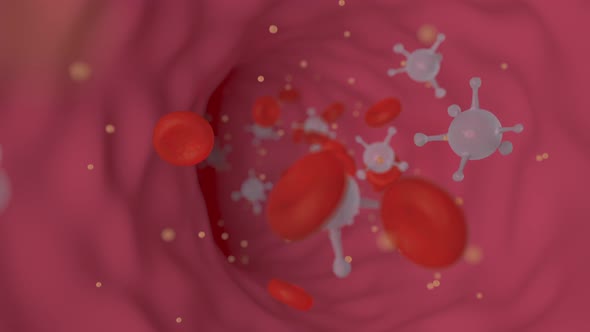 Blood Cells Move Along the Vessel alt