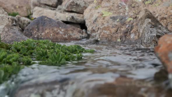 a Young Woman's Hand Scoops Up Water in a Clear Transparent Spring Stream to Drink Water alt