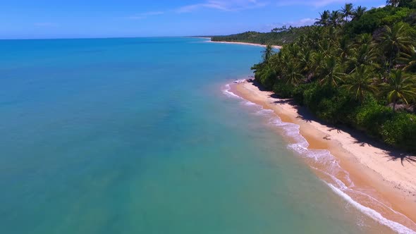 Caraiva beach at Porto Seguro Bahia Brazil. Tropical beach scenery alt