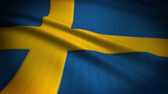 Sweden Flag Seamless Loop alt
