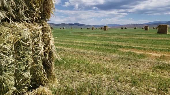 Footage of a Hay Field Reveal. alt