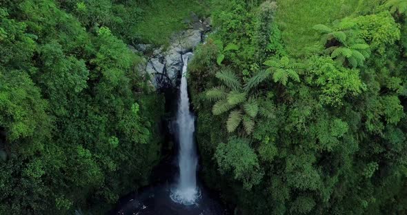 Sliding drone shot of idyllic waterfall in the middle of jungle with trees and grass in the morning alt