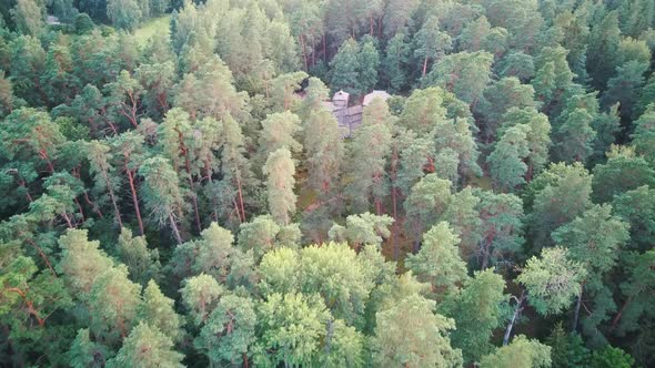 Reconstructed Wooden Castle of Semigallians in Tervete, Latvia Surrounded by Pine Forest. Aerial Dro alt