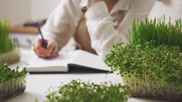 Study Of Healing Properties Of Plants, Their Sprouts. Housewife Writes Down Information On Growth alt