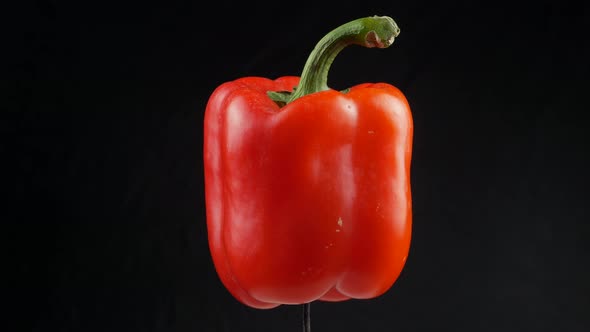 red pepper close up