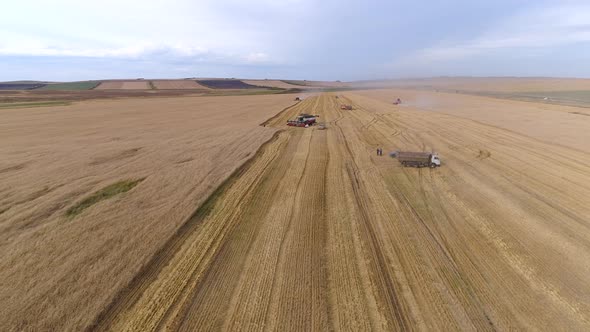 Agriculture Landscape from Drone alt