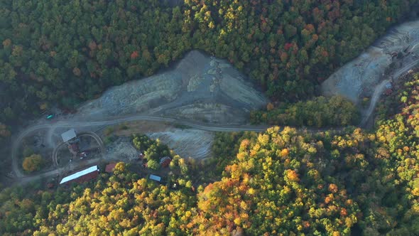 Gold Mining In The Forest 2 alt