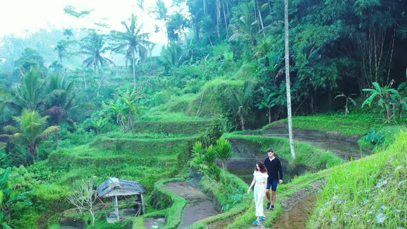 Jungle romance and walk over the terraced rice fields. Summer love, honeymoon adventure and unspoile alt
