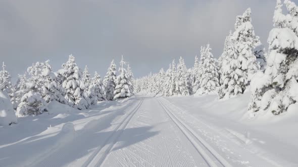 POV  a Person Walks Through a Snowcovered Winter Landscape alt