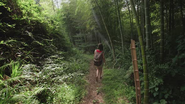 Travel Girl with Bag Walks Along Path in Tropical Park of Tropical Plants, Palms, Bamboo Plantation alt