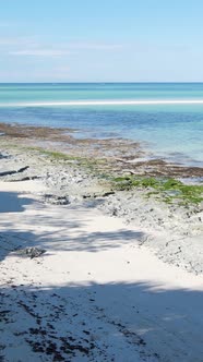 Tanzania  Vertical Video Empty Beach on Zanzibar Island Slow Motion alt