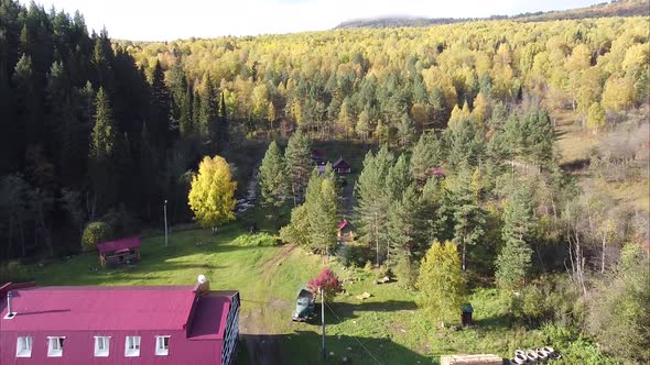 Chalet of a Tourist Resort in the Middle of a Forest and a Mountain River, a Bird's-eye View. the alt