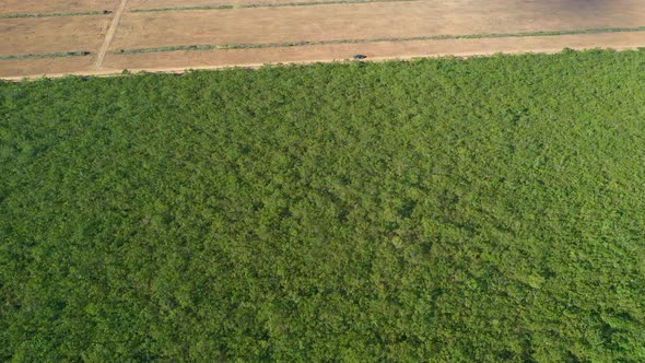 Flying over the dense natural forest in the Brazilian savannah then to deforested farmland for soybe alt