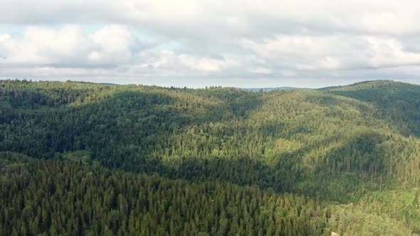 Panoramic natural landscape. Dense green forest and mountains, beautiful cloudy sky