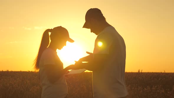 Farmer Man and Woman Work with a Tablet in Wheat Field in Sun. Silhouette of Agronomist and alt