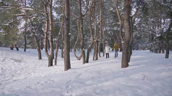 Couple Walking in a Beautiful Snowy Forest Holding Hands alt