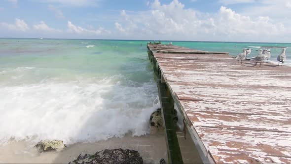 Moving sideways over an old vintage pier on a tropical beach in the Caribbean. alt