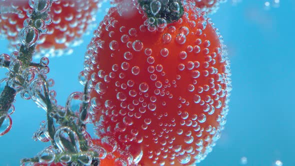 Fresh Organic Red Baby Plum Tomatoes Baby Tomato Cherry Tomato in the Water Closeup alt
