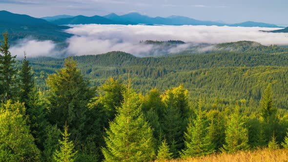 Fantastic Sunrise over the Foggy Summer Mountain alt