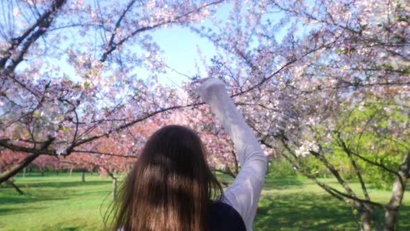 Girl walking in Japanese Garden with blooming trees. Young woman with long hair enjoys spring alt