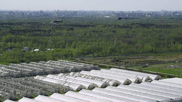 A Red Cross Helicopter Escorted By Another Helicopter Flies Over Intact and Destroyed Greenhouses