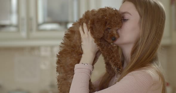 A young beautiful girl raises a poodle puppy in front of her and kisses him. 