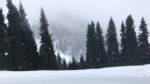 Snowfall In The Mountains