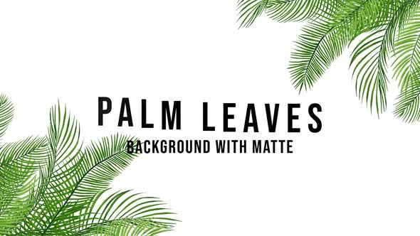 Palm Leaves 2