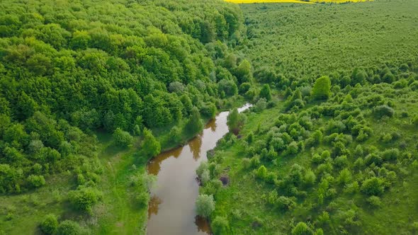 Aerial View Over Green Trees Forest on Daytime in Spring in Western Ukraine