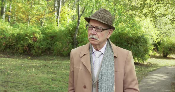 Portrait of Thoughtful Elegant Grandfather Looks Sadly at Camera in Sunny Park alt