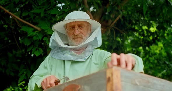 Portrait of a Male Beekeeper Who Takes Out a Honey Frame with Bees. Beekeeper Works in the Apiary alt