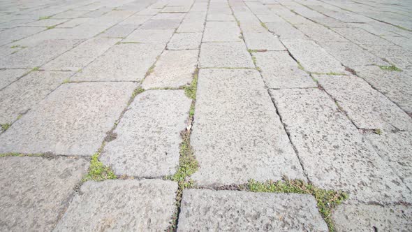 Grass Sprouts Through Old Grey Slabs of City Pavement alt