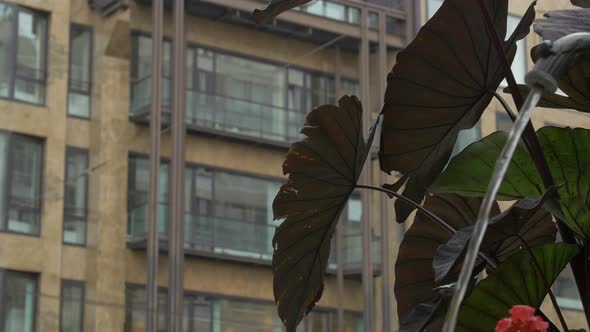 Tilt down of the Confederation Centre alt