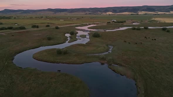 Horse standing at rivers edge while flying over the winding river alt