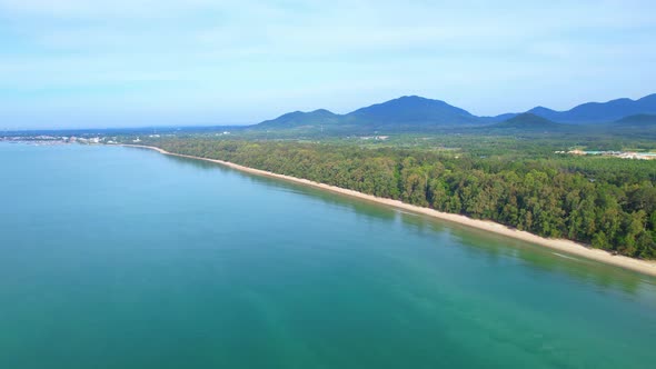 4K aerial view from a drone. Beautiful scenery of the coast with many pine trees. alt