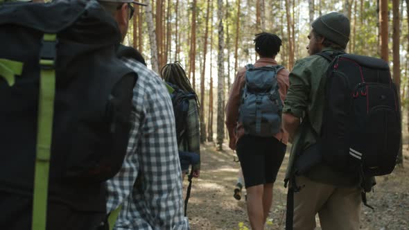 Slow Motion Back View of Tourists Friends Walking in Woods on Sunny Summer Day alt