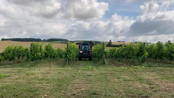 pruning vineyard with tractor