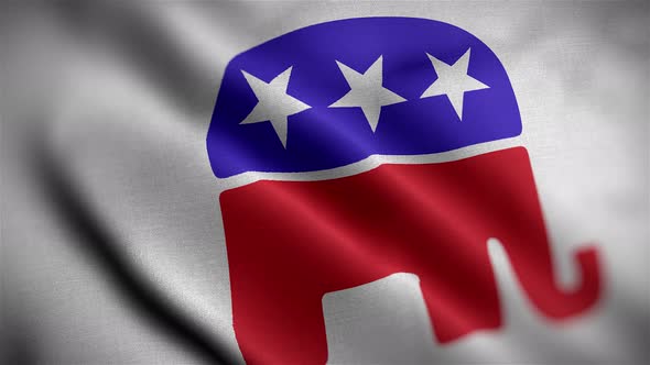 Republican Flag Angle