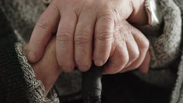 wrinkled old man' hands crossed on the stick alt