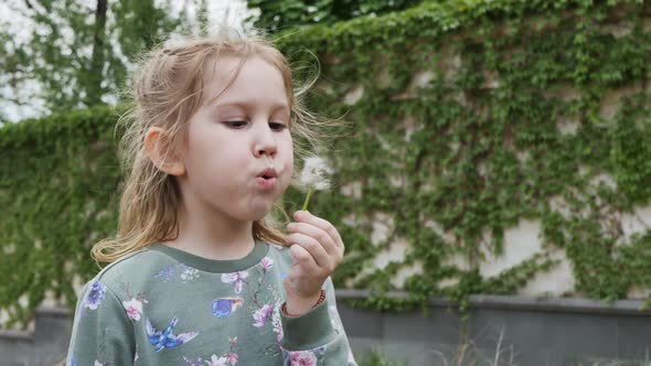 a Caucasoid Teenage Girl Holds a Dandelion in Her Hands and Blows Fluff From It