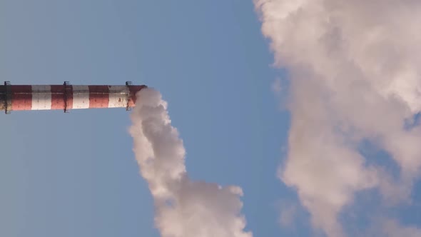 Vertical orientation video: Pipe with white smoke alt