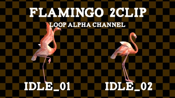 Flamingo 2 Clip Loop