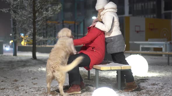 Beautiful Happy Family with a Big Dog Having Fun in the Winter in the City