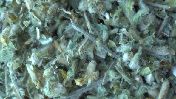 Rotating Astragalus Herbal alt