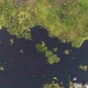 Aerial Cinematic Drone View of European Forest with Swamps and Lakes - VideoHive Item for Sale