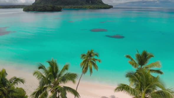 Port Orly sandy beach with palm trees, Espiritu Santo Island, Vanuatu alt