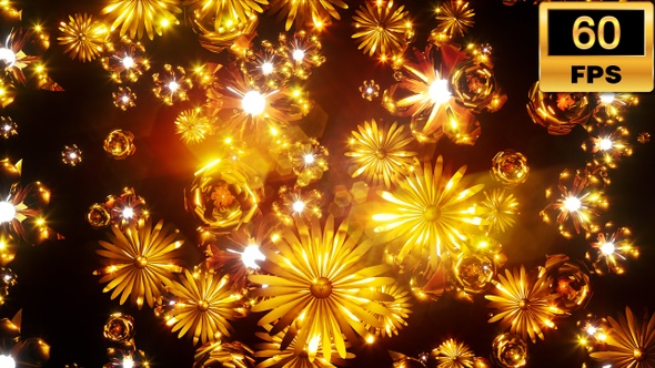 Gold Flowers 60fps